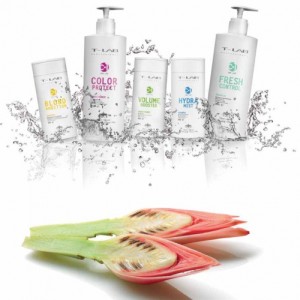 T-lab Professional (Т-лаб Профешнал, Владимир Тарасюк) – краска для волос из Украины. Где купить. Адреса салонов