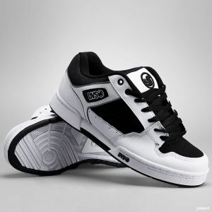 DVS