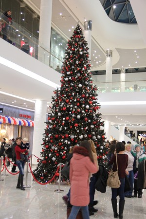 Обзор торгового центра Ocean Plaza. Фото