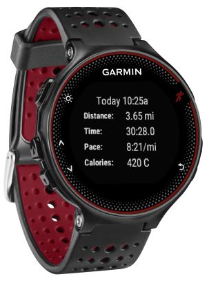 garmin
